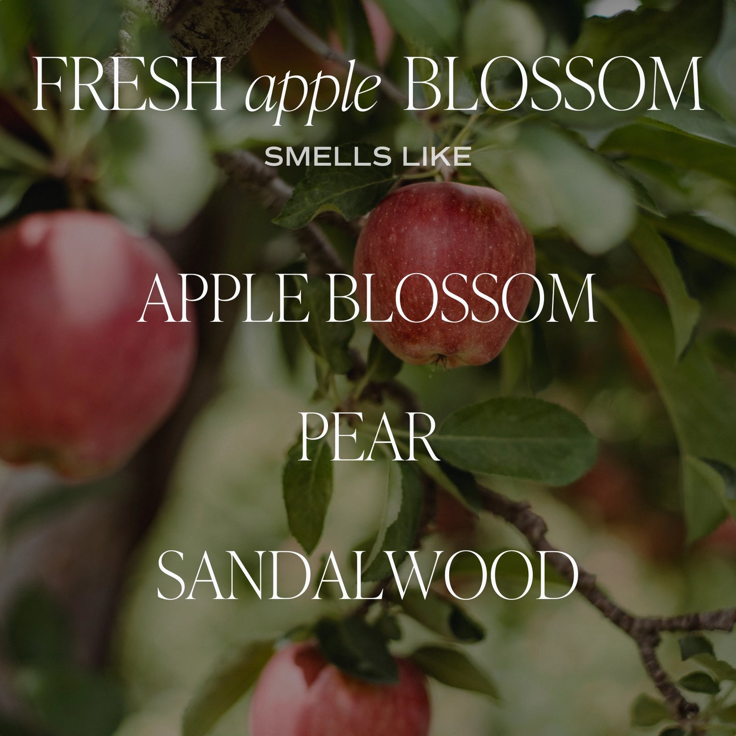 Fresh Apple Blossom Candle